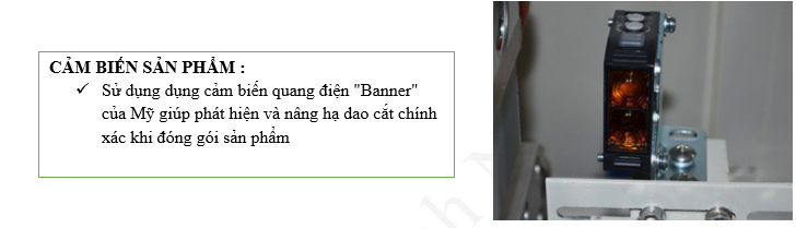 Máy đóng gói co màng ván gỗ xuất khẩu